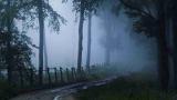 thumb Most notorious haunted places in India Dow hill forest in Kurseong West Bengal