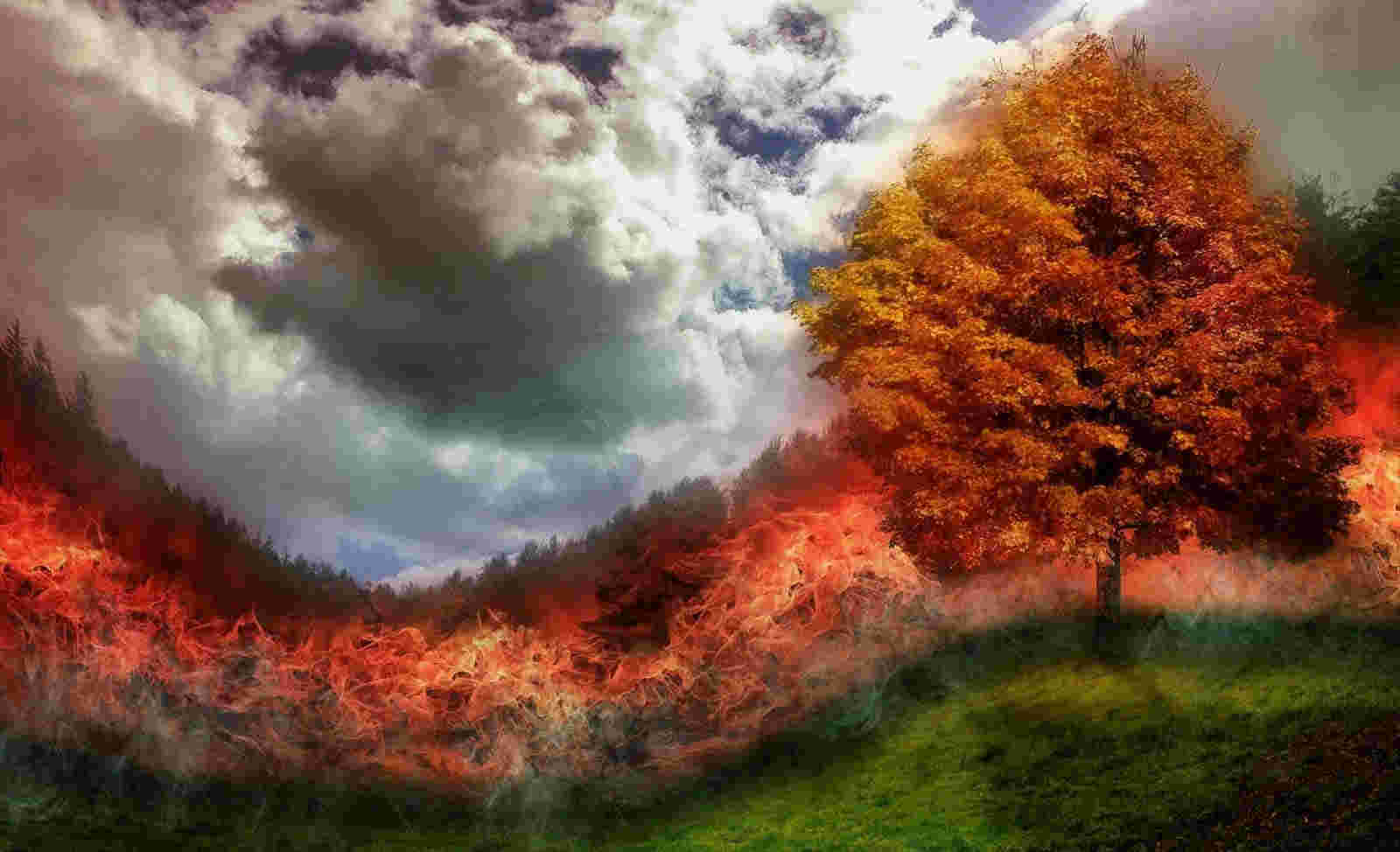 ফেব্রুয়ারীতে এপ্রিলের গরম: বিশ্ব উষ্ণায়ন ও আবহাওয়া বিশৃঙ্খলা