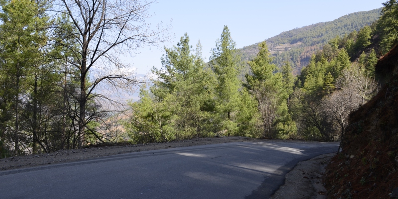 before the first test