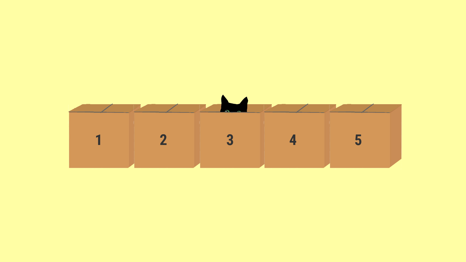 Catch the cat hiding in 5 boxes riddle