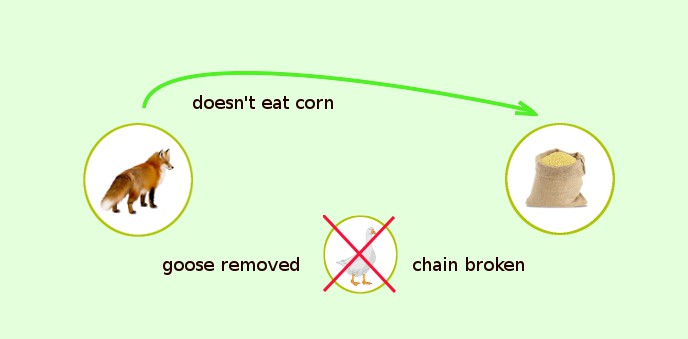 chain broken: farmer fox corn river crossing puzzle