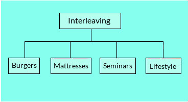 Concept structure of interleaving