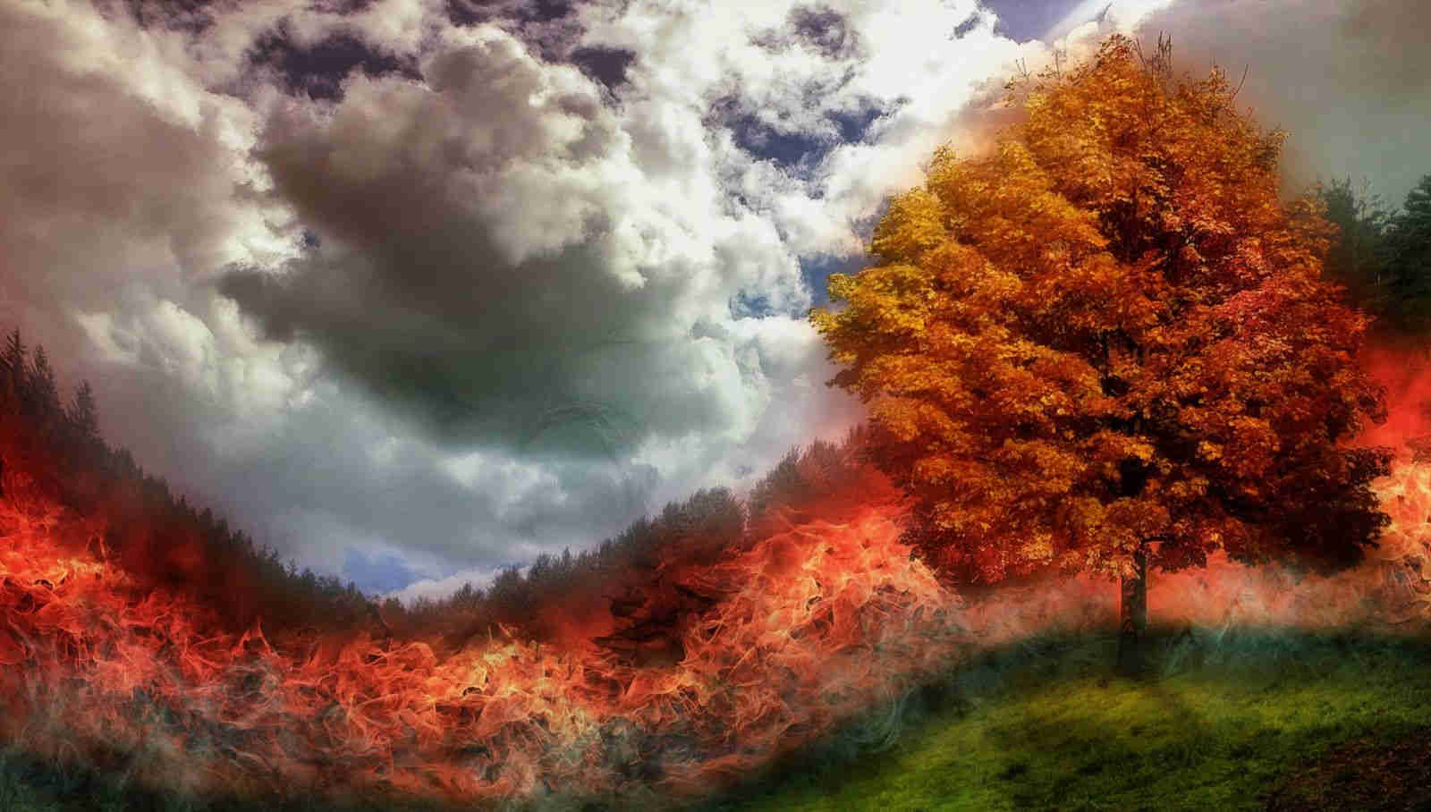 When Feb Feels Like April: Global Warming and Climate Disorder