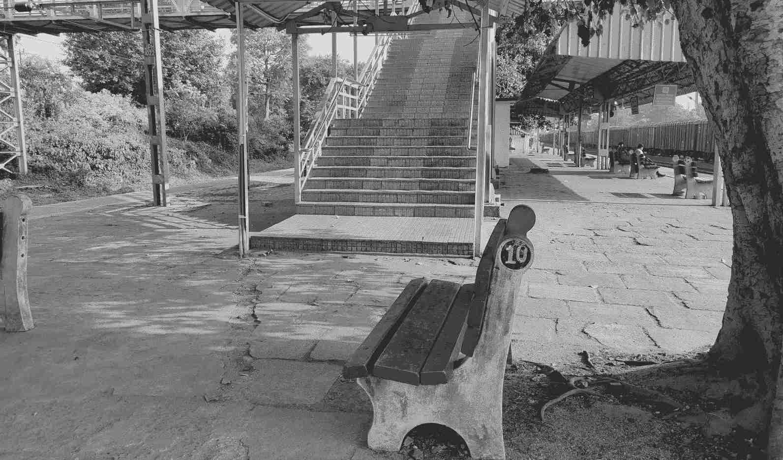 Truths, half-truths and lies